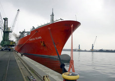 De bananenboot Charles Island meerde gisterenmiddag aan bij Belgian New Fruit Wharf (BNFW) in de haven van Antwerpen. Een gedeelte van de lading bestond uit Fair Trade-bananen. AgroFair is de ontvanger van deze bananen en in het kader van de Oké Workshop voor de Europese Max Havelaar-organisaties bezocht AgroFair met een gezelschap de bananenboot in de haven van Antwerpen.