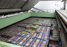 De Charles Island had ongeveer 21.000 dozen ofwel 420 à 430 pallets met bananen voor AgroFair aan boord. Deze bananen, welke zijn verpakt onder het merk Oké, vinden hun afzet naar met name Zwitserland en Finland. Dit zijn de grotere markten voor Fair Trade-producten. De biologisch geteelde bananen van het merk Ekoké worden met name afgezet richting de Oostenrijkse markt.