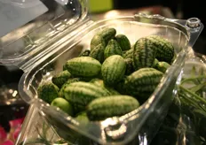 Weer een vinding van Koppert Cress: hele kleine meloenen die smaken naar komkommers