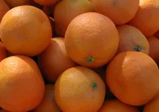 Hele mooie mandarijnen van de variÃ«teit Nour