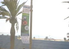 Rond dezelfde tijd als de handelsmissie werd in Agadir ook de beurs Sifel gehouden. De beurs wordt ieder jaar groter. Door de hele stad hing reclame als deze.