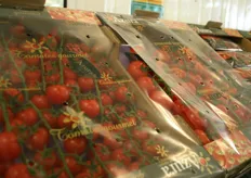 Hele mooie tomaten van Azura in een doosje met folie