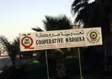 "De Marokkaanse coöperatie M’Brouka exporteert jaarlijks 25.000 ton citrus. Dit komt neer op ongeveer 1200 containers ofwel vier à vijf per dag. "De belangrijkste markt voor ons is de Verenigde Staten, want daar wordt de helft van ons fruit naar geëxporteerd. Canada is voor ongeveer 25% verantwoordelijk voor de afname, er wordt ongeveer 10% geëxporteerd naar de Rotterdamse haven en de rest heeft een zeer diverse bestemming", zegt president Abderrazak Mouisset van Agri-Souss. In totaal beschikt M’Brouka over een areaal van ongeveer 1600 hectare. Dit is onderverdeeld in 600 hectare clementines, 300 hectare Nour, 100 hectare Navel, 250 hectare Salustiana, 300 hectare Maroc Late en 50 hectare aan overige variëteiten. Het eigen pakstation kent een oppervlakte van 25.000 m2 en er werken tussen de 50 en 400 mensen bij M’Brouka. Agri-Souss is verantwoordelijk voor de logistiek en de financiële afhandeling."