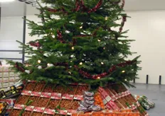 Mooie uitstalling van producten rond de kerstboom