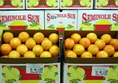 Grapefruit van Seminole Sun