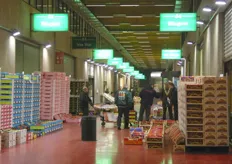 Het is wel eens drukker geweest op het Europees invoercentrum voor groenten en fruit in Brussel...