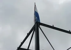 De vlag in top.