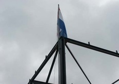 De vlag in top.