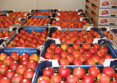 In de koelcel voor behoud van kwaliteit.