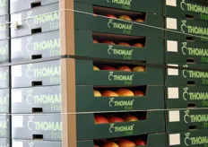 Appelen verpakt onder het eigen merk Thomar. Dit merk is vernoemd naar de zoons van Herman van Rooijen.