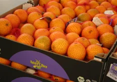 Sinaasappelen verpakt onder het eigen label Nature & More van Eosta