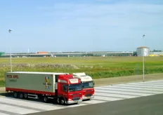 Vrachtwagens van Peter Appel met op de achtergrond de kassen van de Wieringermeer