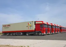 Vrachtwagens van Peter Appel Transport op een rijtje