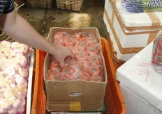 Vleestomaten per stuk in folie verpakt in telescoop doos