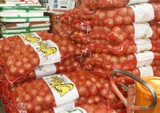 Overal Tasmaanse uien