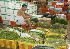 De Chinese Piet van Vught