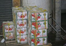 Tomaten in telescoopdozen