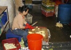 Geschilde aardappelen. Allemaal handwerk