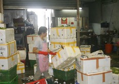 Men neme zijn pikhaak en slaat er luchtgaten in