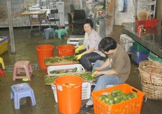 Handgeschilde augurken/komkommers