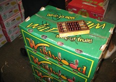 En natuurlijk nog het telraam