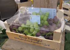 Druivenkwekerij Nieuw Tuinzight presenteerde het 'nieuwe' druivenkistje.