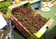 Natuurlijk geen culinaire hoogstandjes zonder producten van Koppert Cress