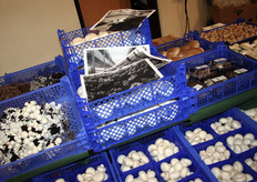 De foto's tonen hoe de champignons worden geteeld