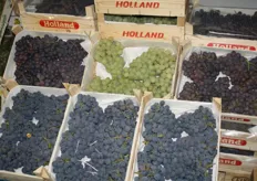 Hollandse druiven