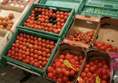 Tomaten netjes gelegd en verpakt in net