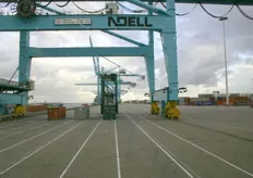 Lossen van containers bij Mearsk, 's wereld grootste rederij.