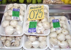 Biologische champignons