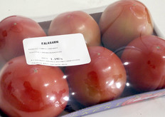 Het prachtige eindproduct.