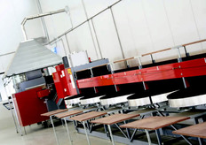 Aweta heeft ook een sorteer- en sealmachine voor komkommers geleverd aan Platanos Agricultura.