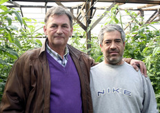 Platanos Agricultural levert diverse groenten, welke over een paar weken verkrijgbaar zullen zijn bij Combifruit International. Op deze foto Nico Persoon van Combifruit International en een van de managers van Platanos Agricultural.