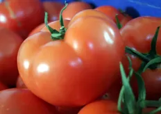 En zo zien de tomaten er uit als ze volledig zijn gekleurd.