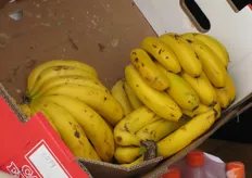 De typische kleine bananen die in deze regio worden geteeld.