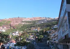 Kenmerkend aan Madeira zijn de steile berghellingen die soms bijna verticaal uit de zee verrijzen. Door terassen aan te leggen probeert men de grond zo effectief mogelijk te gebruiken.