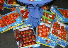 Peter Grootscholten deelde grote hoeveelheid babypruim tomaten uit.