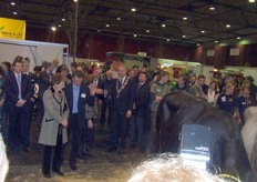 De prinses tussen de koeien