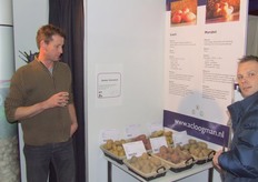 De rassen van Loogman