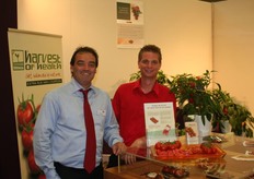 Lycopeentomaten bij Harvest of Health.