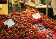 San Juan en Jubilee aardbeien.