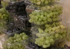 Overzeese druiven bij OTC