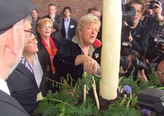 Erica in volle glorie