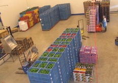 4 Process Trading is de dochteronderneming van Snijpunt. Zij leveren onbewerkte agf-producten aan groentesnijbedrijven.