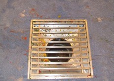 Snijpunt ontwikkelde zelf een systeem met goten onder de grond voor het verwijderen van snij-afval