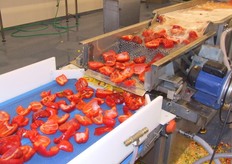 De paprika's gaan na het wassen nog even over de droogband