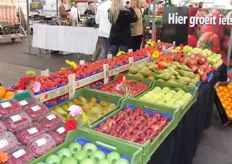 Aardbeien van de Belgische fruitveilingen