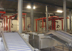 Natte kistenlediging voor de verpakkingslijnen